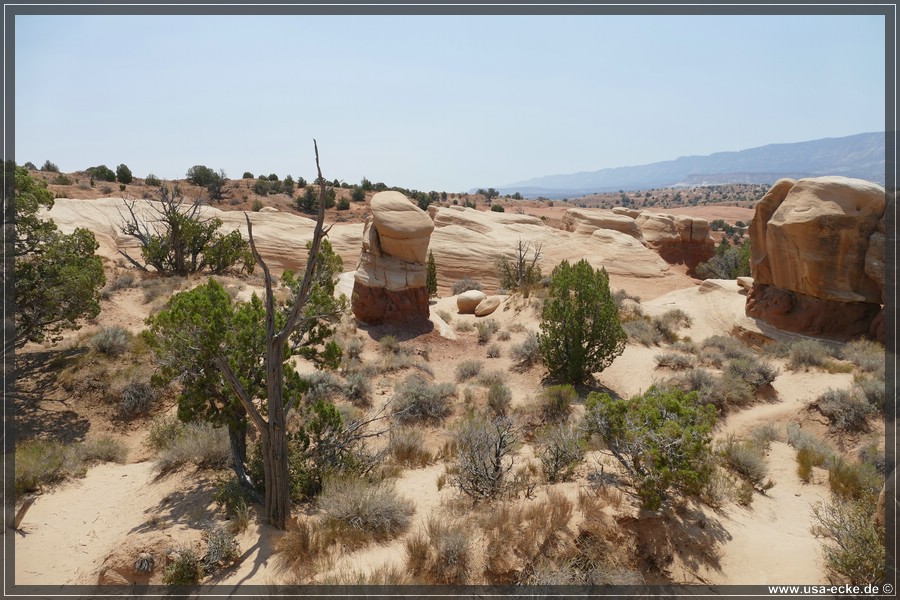 Devils_Garden_2025_013