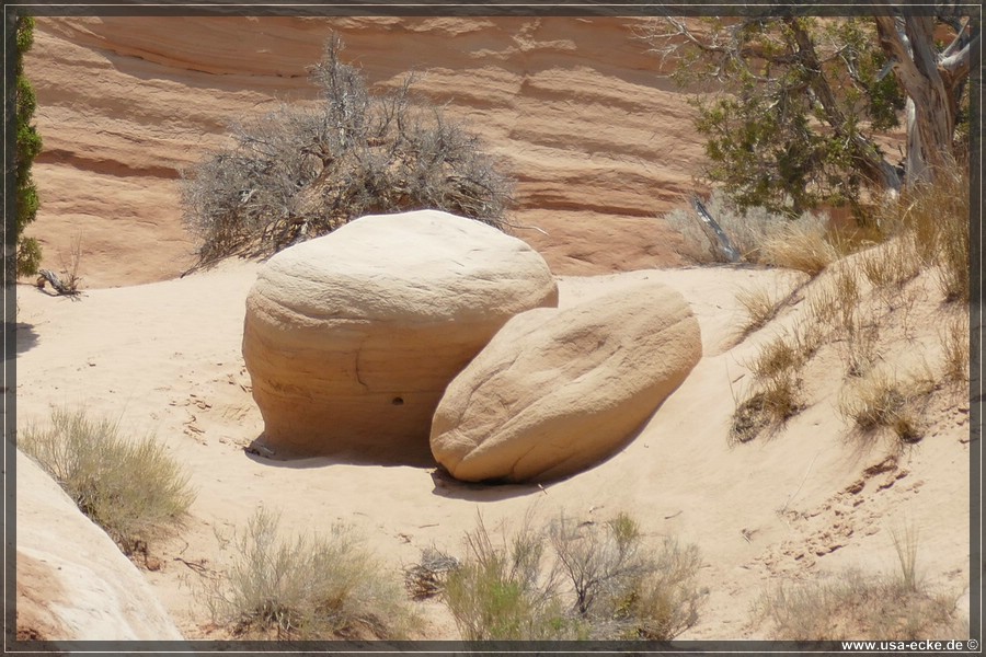 Devils_Garden_2025_014