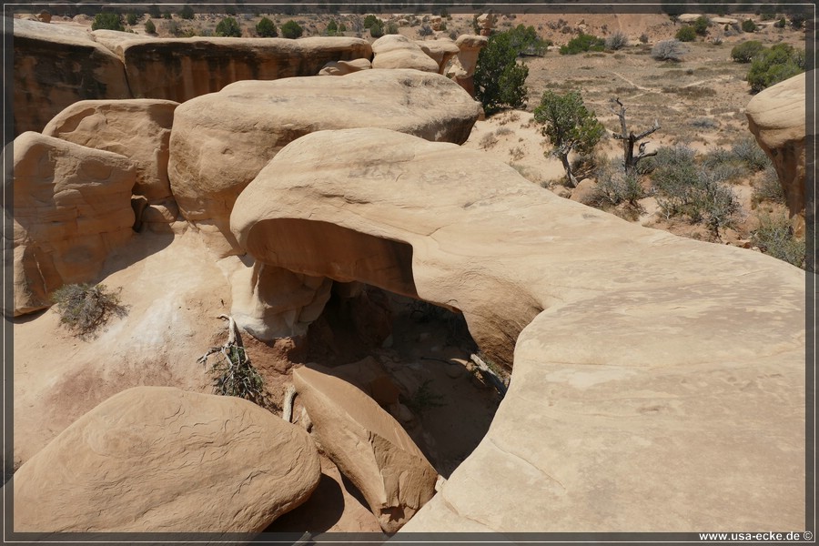 Devils_Garden_2025_017