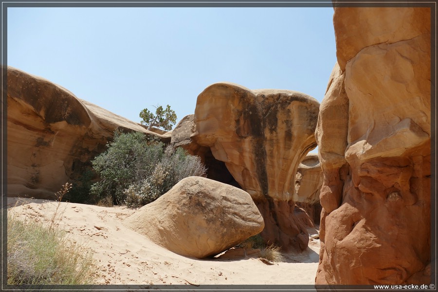 Devils_Garden_2025_021