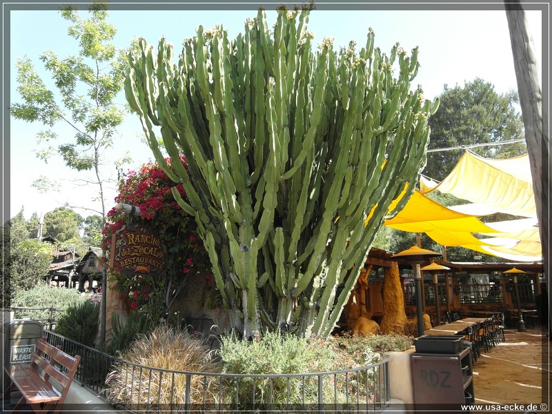 disney2011_19