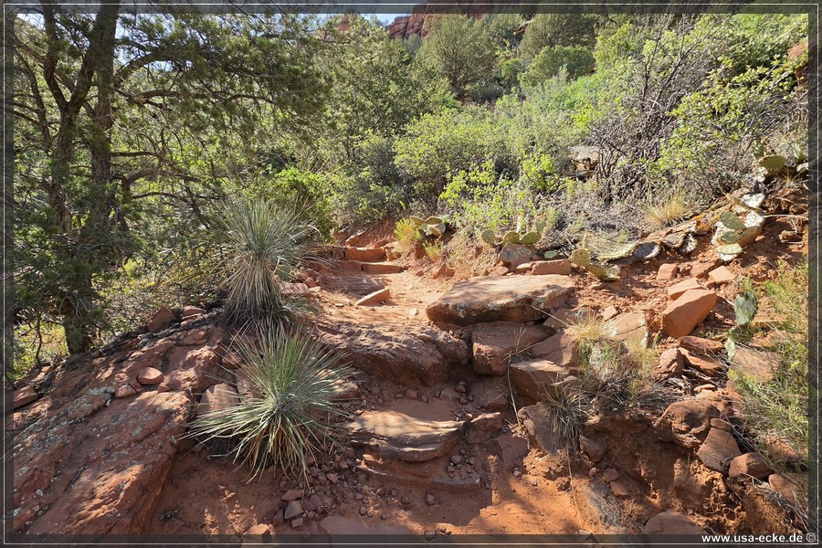 Doe_Mountain_2026_009