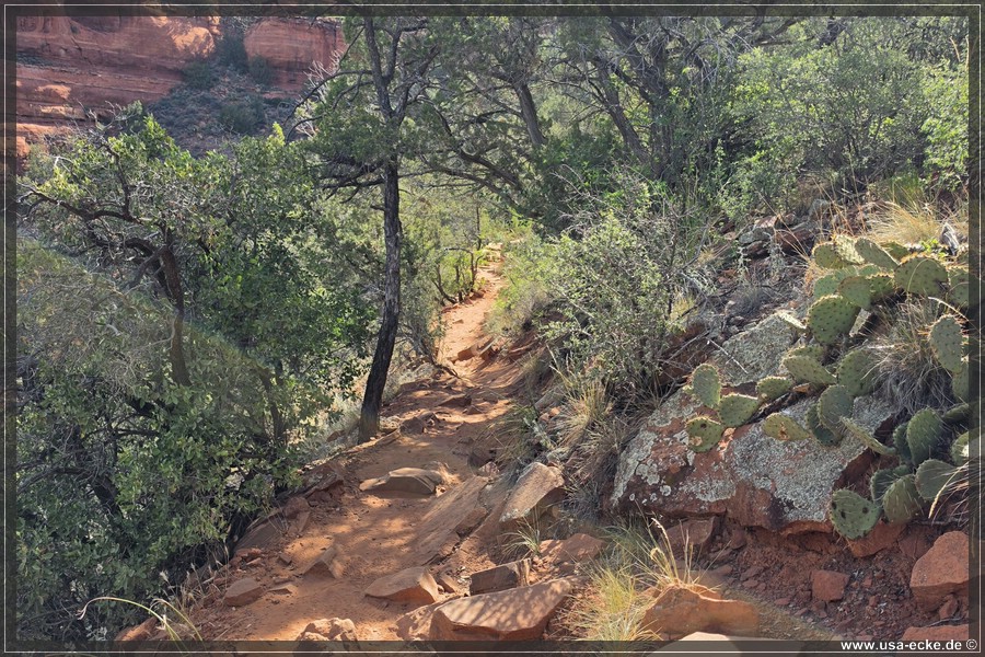 Doe_Mountain_2026_015
