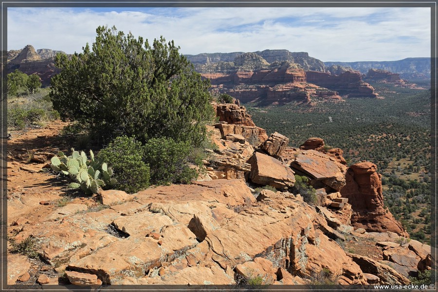 Doe_Mountain_2026_030