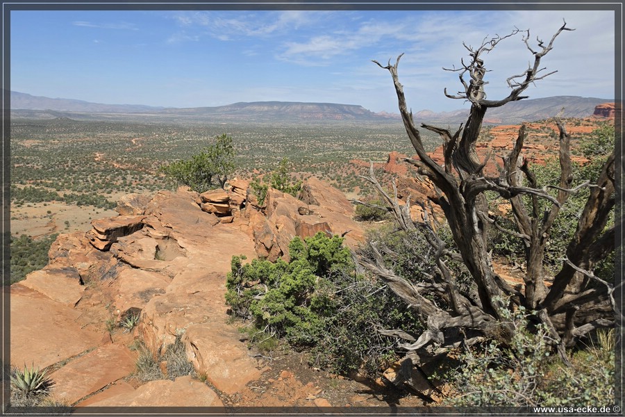 Doe_Mountain_2026_049