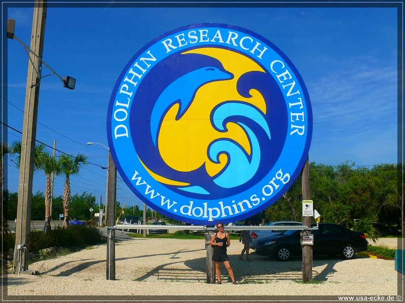 DolphinResearch_01