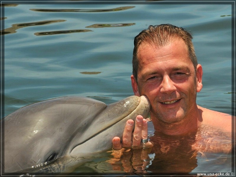 DolphinResearch_36