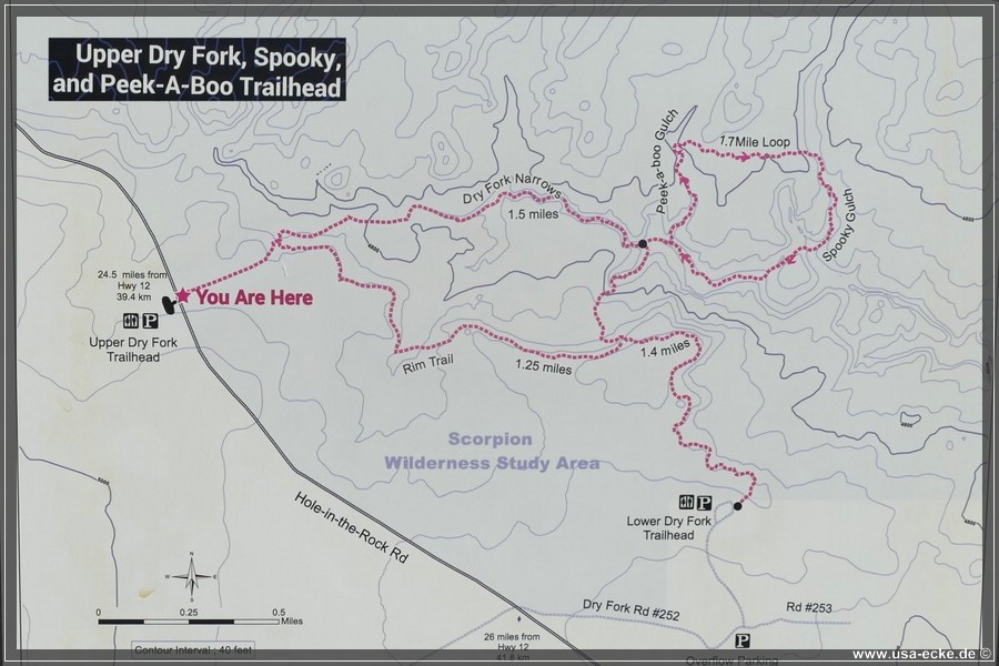Dry_Fork_2025_001