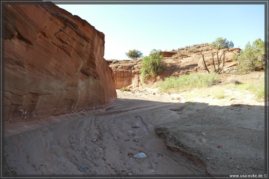 Dry_Fork_2025_010