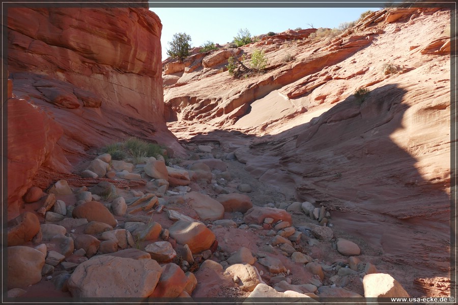 Dry_Fork_2025_014