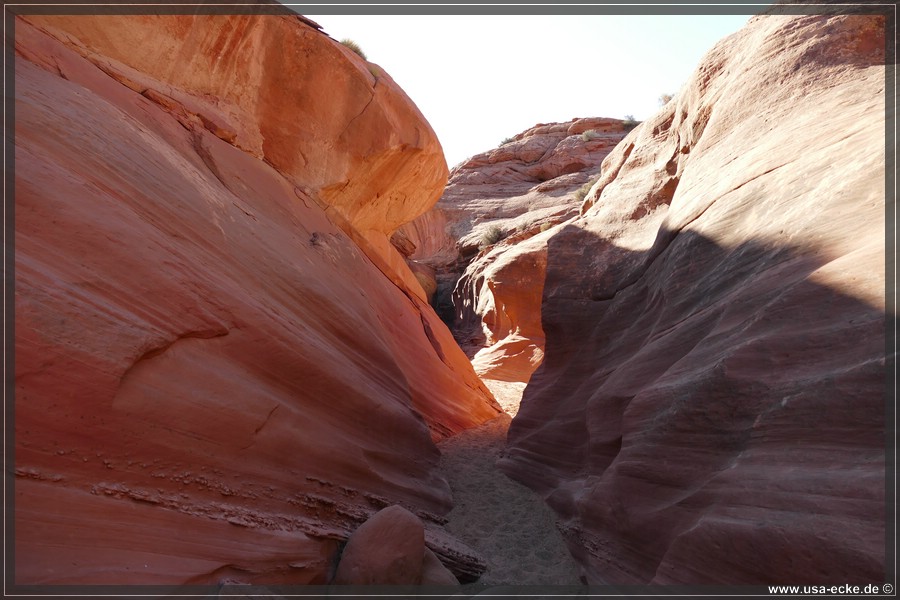 Dry_Fork_2025_015
