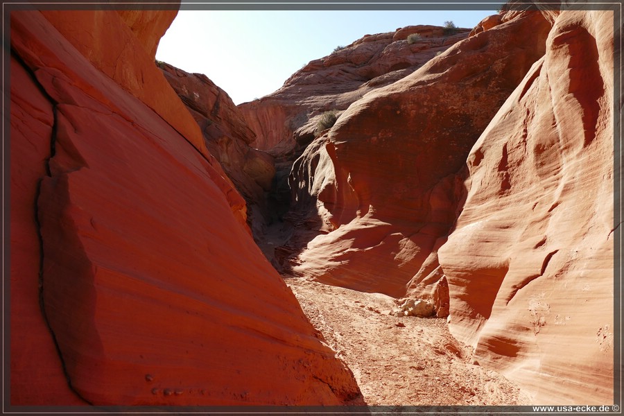 Dry_Fork_2025_016