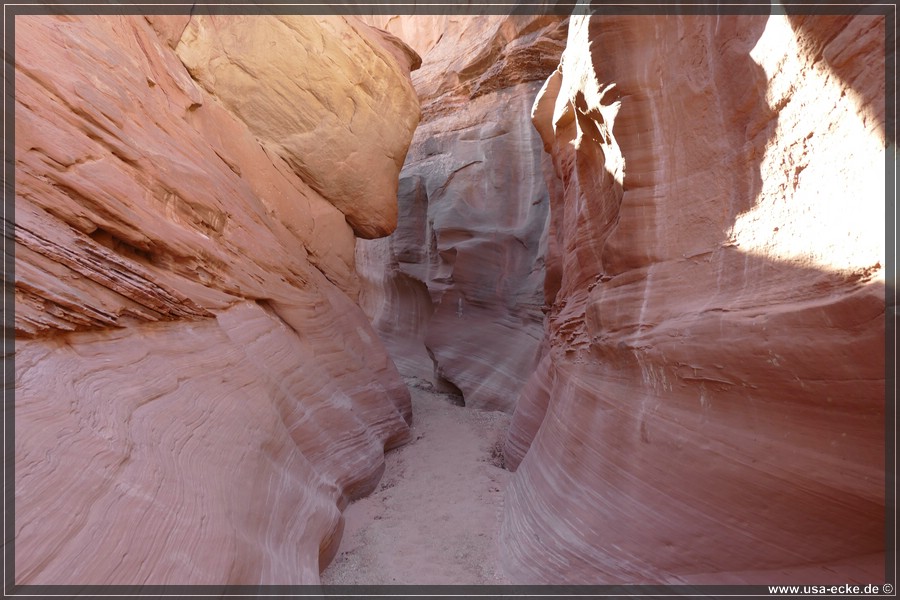 Dry_Fork_2025_017