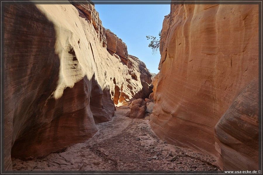 Dry_Fork_2025_018