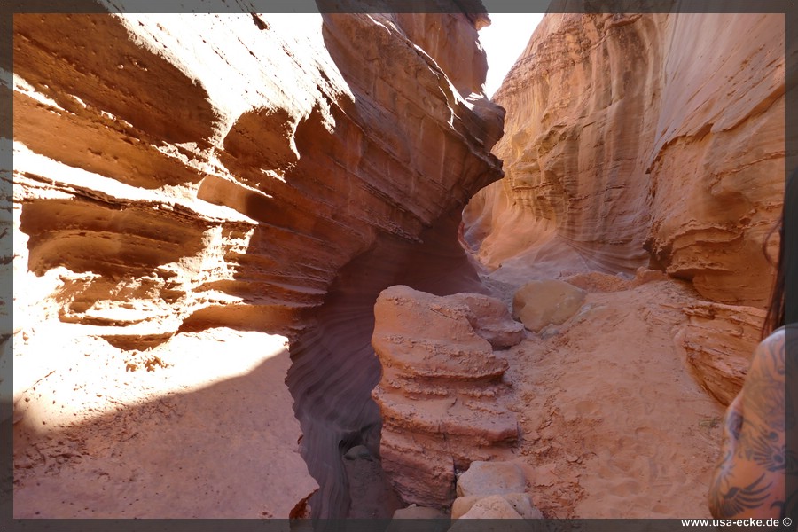 Dry_Fork_2025_019