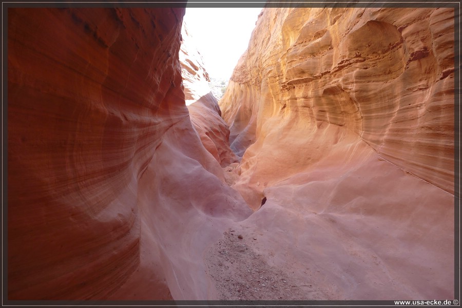 Dry_Fork_2025_021