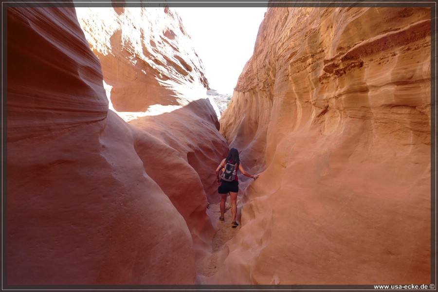 Dry_Fork_2025_023