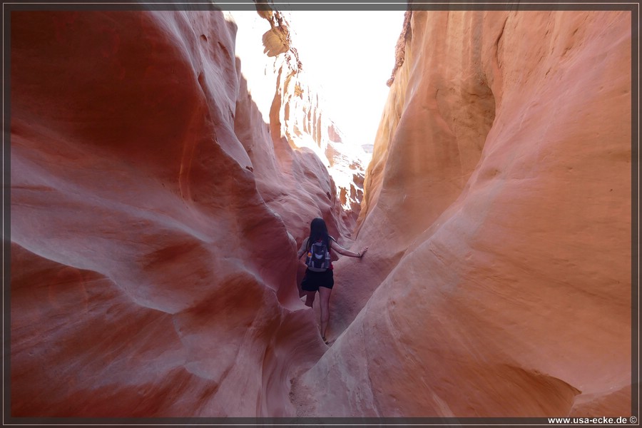 Dry_Fork_2025_024