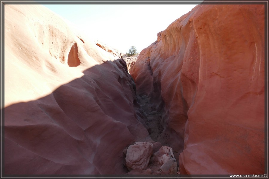 Dry_Fork_2025_025