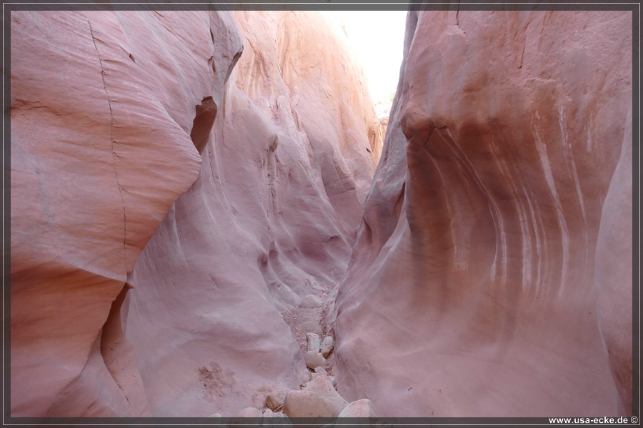 Dry_Fork_2025_026