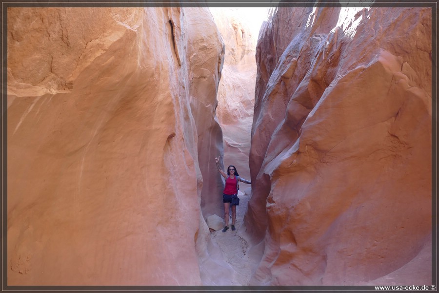 Dry_Fork_2025_027