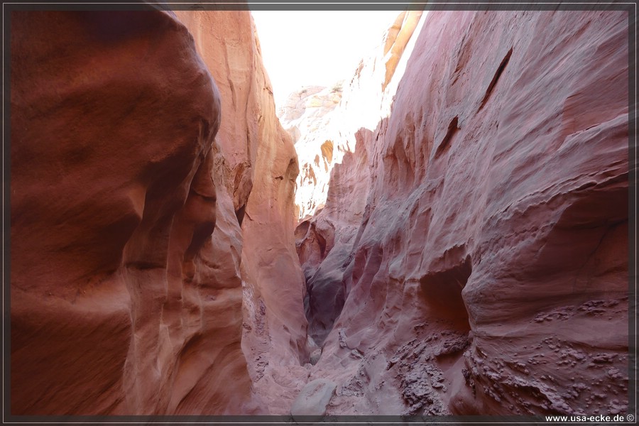 Dry_Fork_2025_028