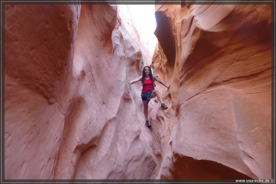 Dry_Fork_2025_029