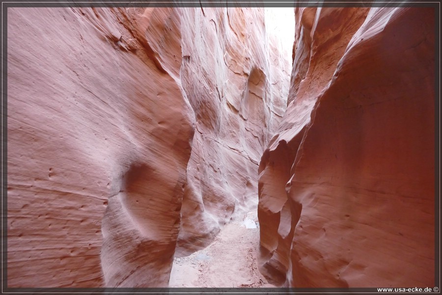 Dry_Fork_2025_032
