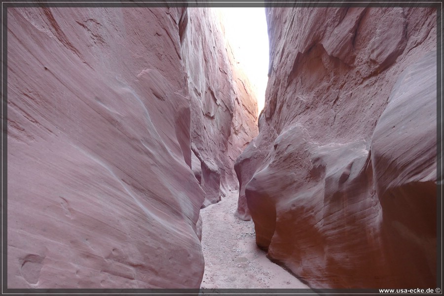 Dry_Fork_2025_033