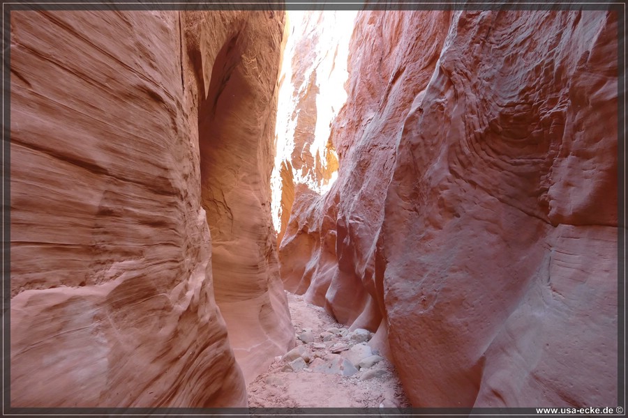 Dry_Fork_2025_035