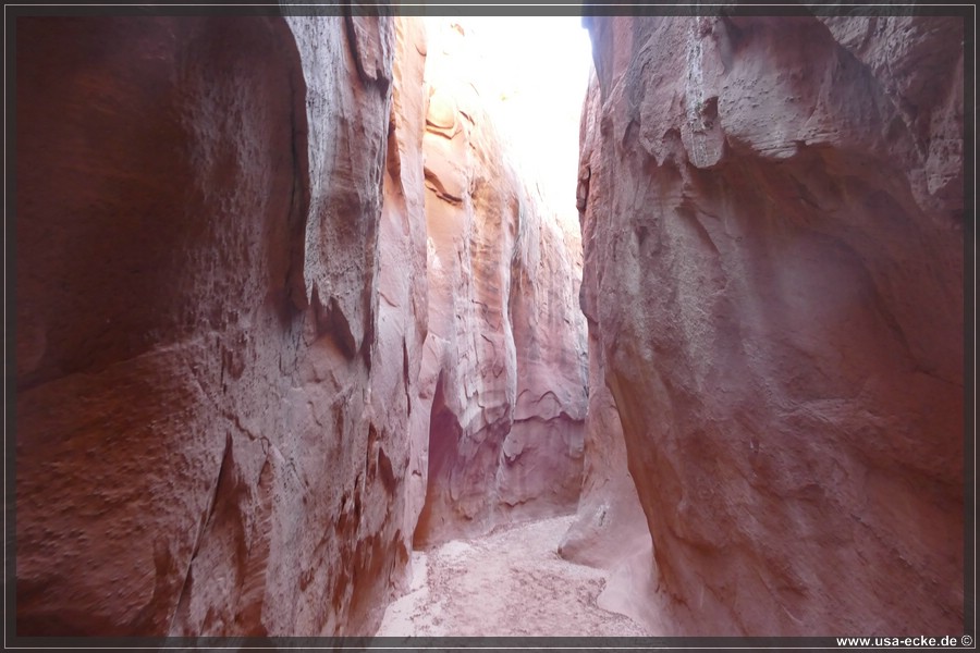 Dry_Fork_2025_037