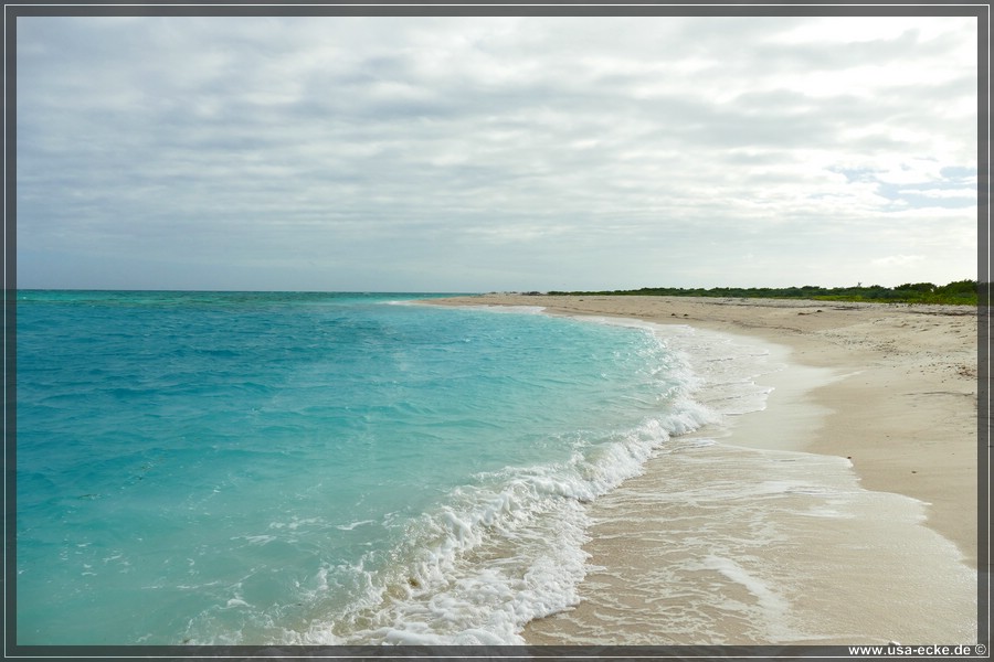 DryTortugas_Bush_2024_002