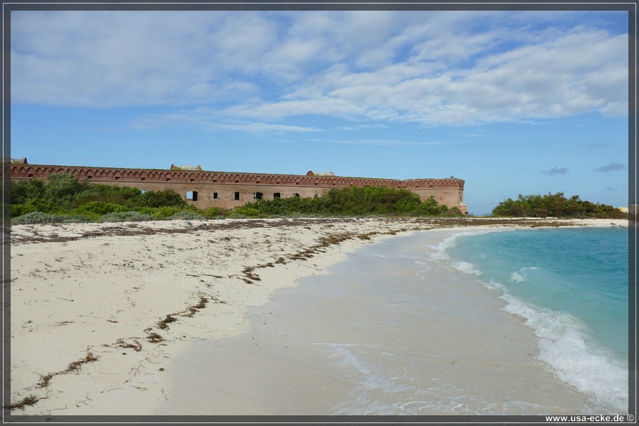 DryTortugas_Bush_2024_003
