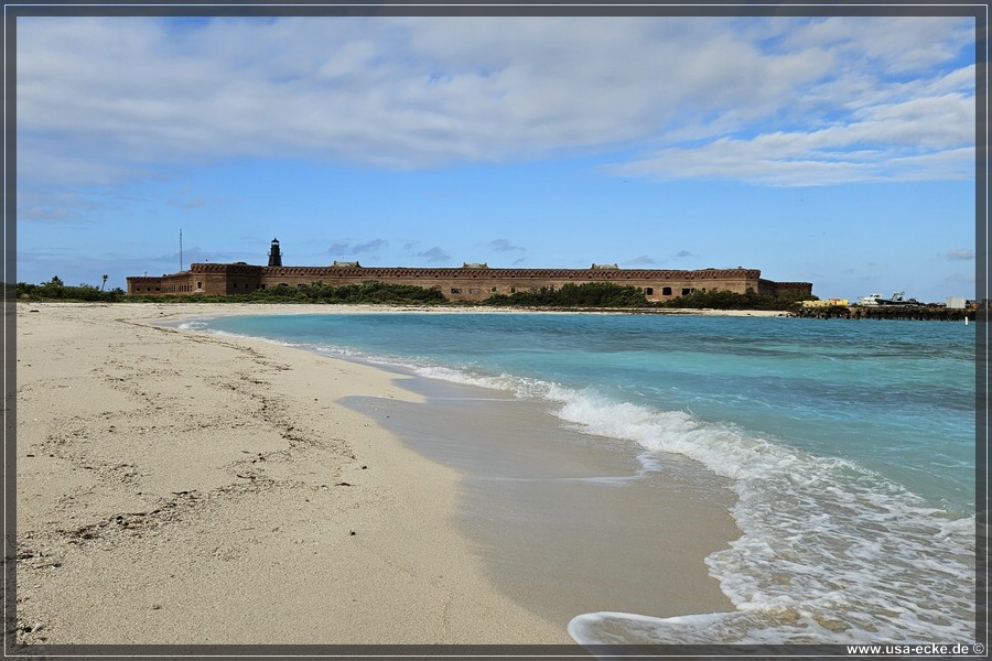 DryTortugas_Bush_2024_004