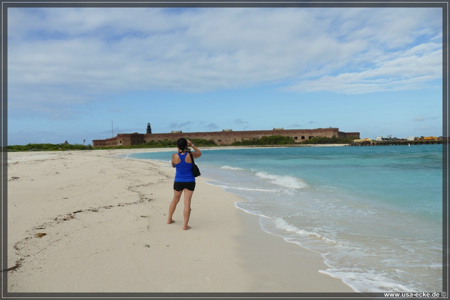 DryTortugas_Bush_2024_005