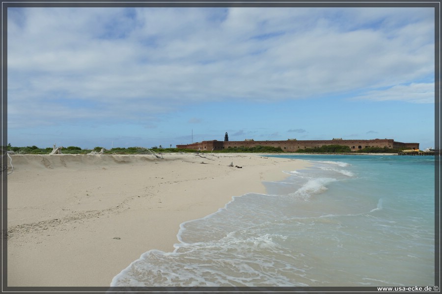 DryTortugas_Bush_2024_009