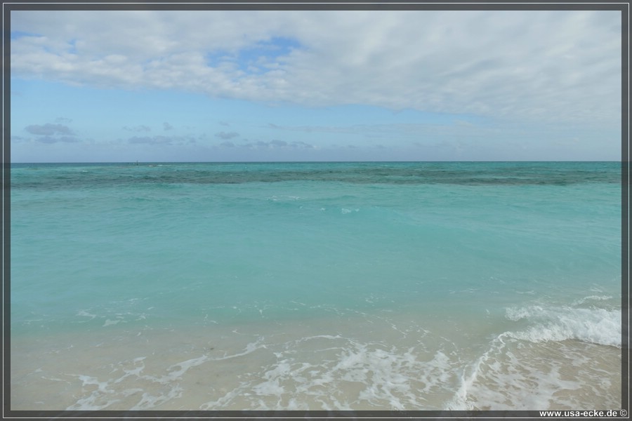 DryTortugas_Bush_2024_010