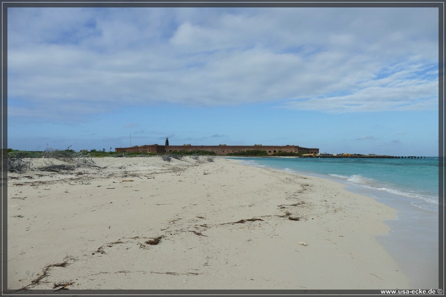 DryTortugas_Bush_2024_011