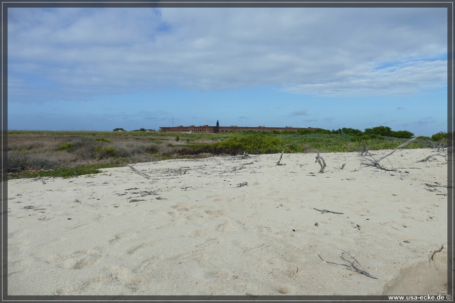 DryTortugas_Bush_2024_016