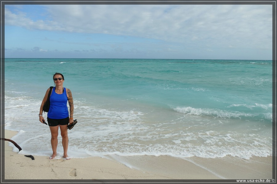 DryTortugas_Bush_2024_017