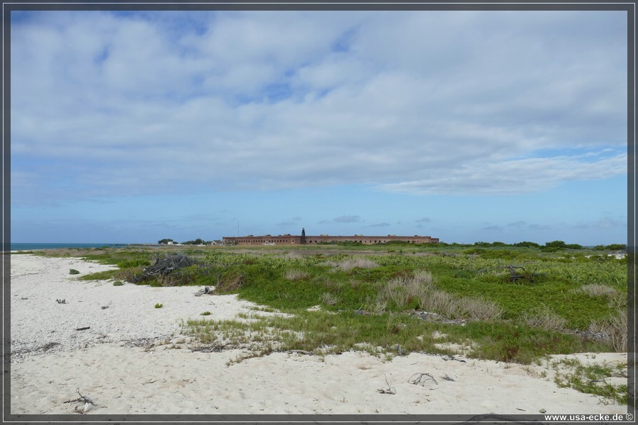 DryTortugas_Bush_2024_018