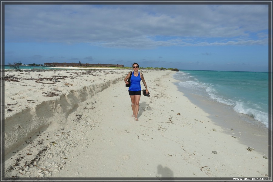 DryTortugas_Bush_2024_025