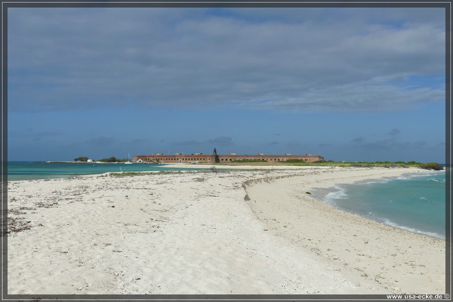 DryTortugas_Bush_2024_026