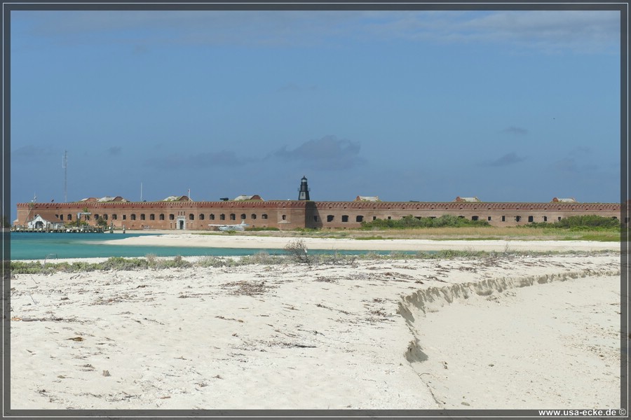 DryTortugas_Bush_2024_027
