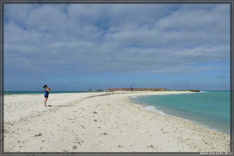 DryTortugas_Bush_2024_028