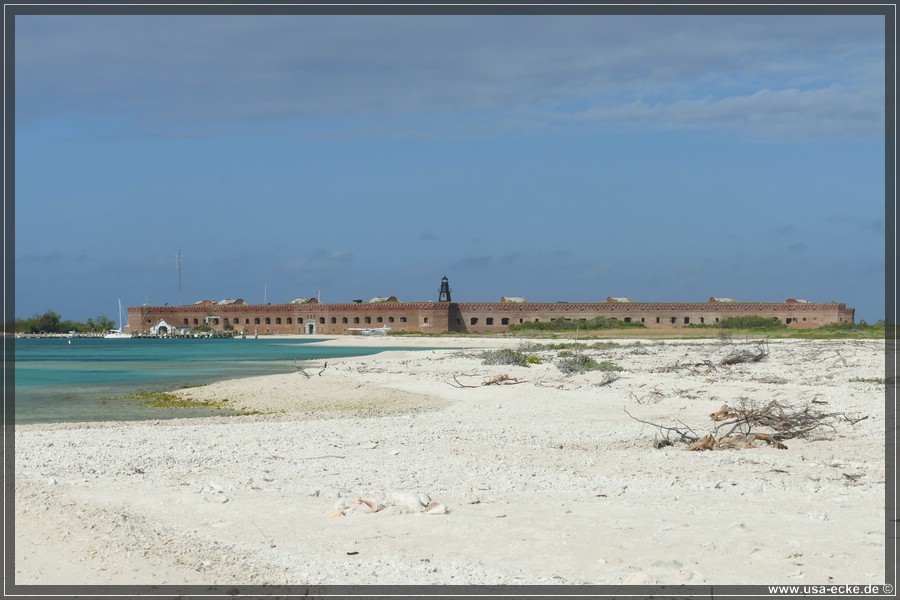 DryTortugas_Bush_2024_030