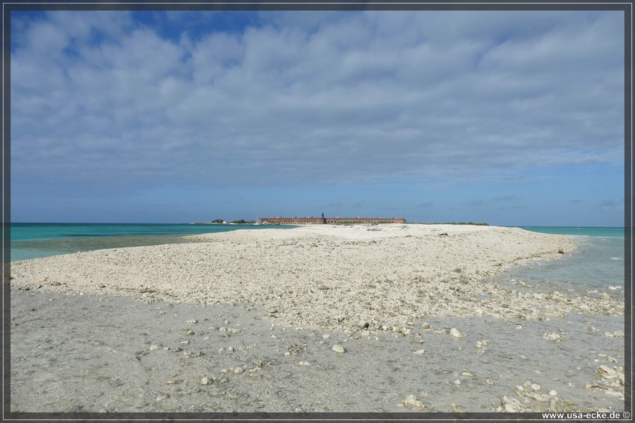 DryTortugas_Bush_2024_034