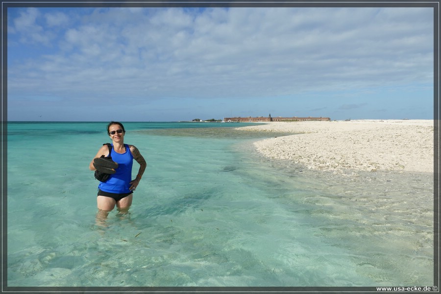DryTortugas_Bush_2024_035
