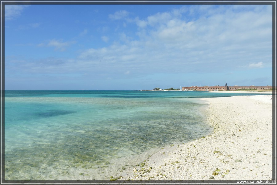 DryTortugas_Bush_2024_043