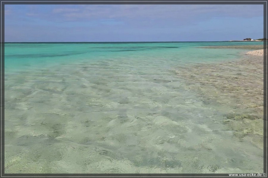 DryTortugas_Bush_2024_045